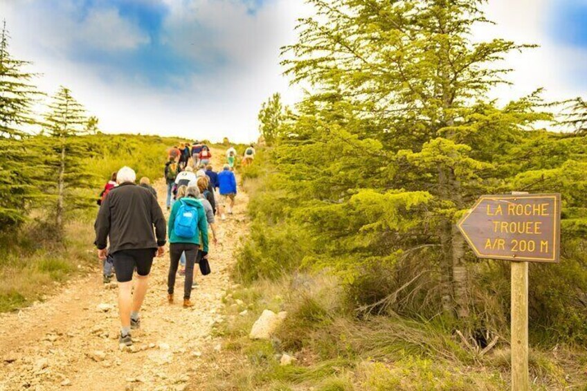 Vineyard walk in the garrigue