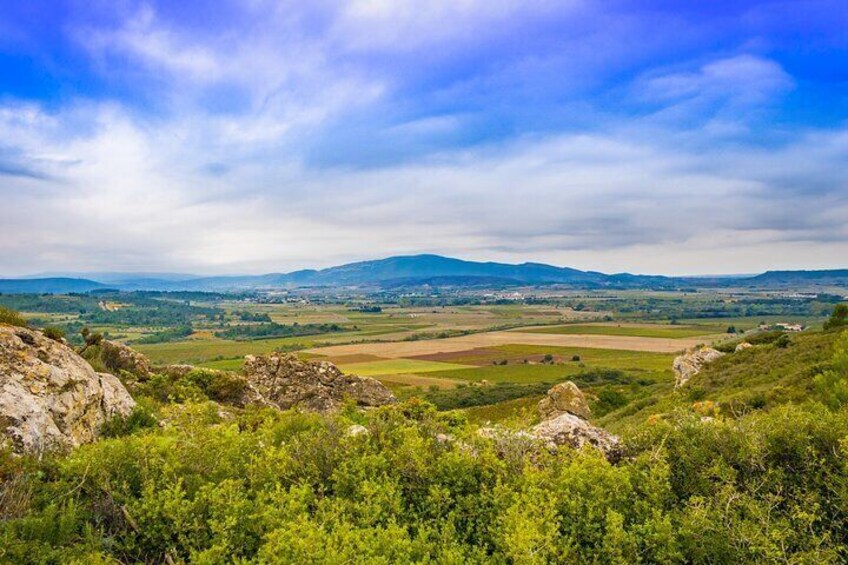 Vineyard walk in the garrigue