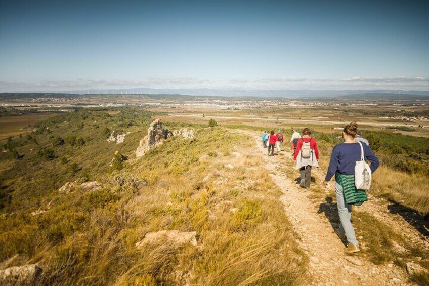 Vineyard walk in the garrigue