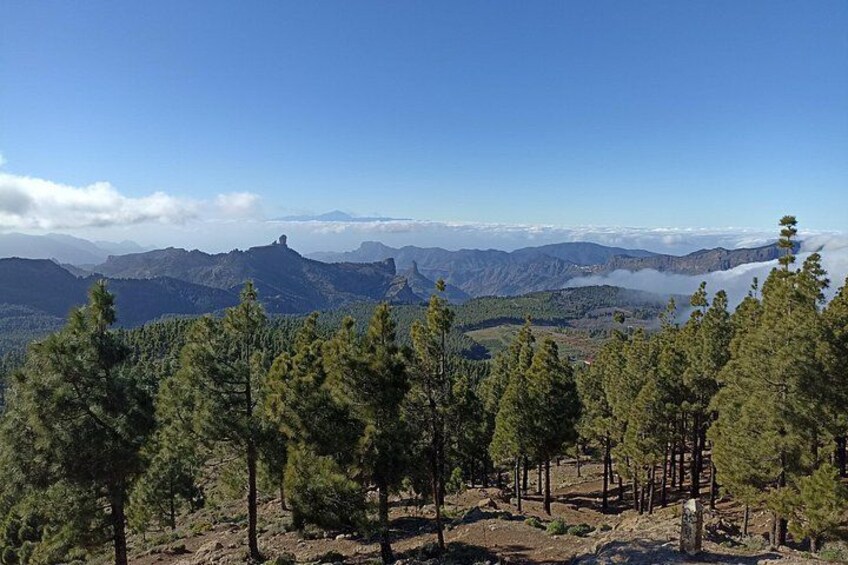A mountainous landscape with dense pine forests and a distant view of rolling hills under a clear blue sky. 4