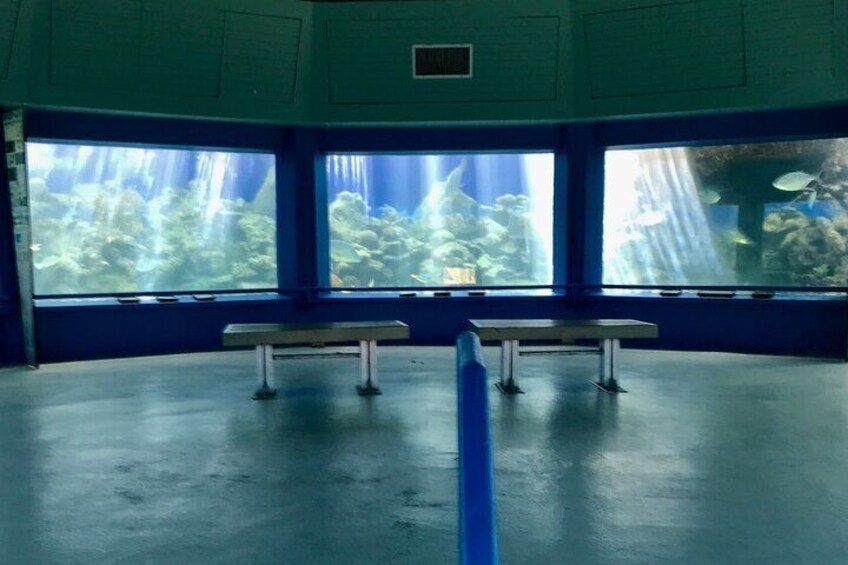 Sunset Guided Tour of Coral World Ocean Park & Happy Hour