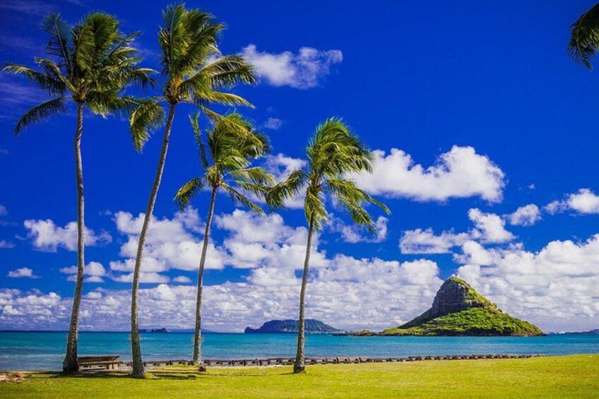 Una playa con palmeras, un cielo azul despejado y una colina verde al fondo. 3