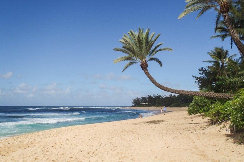 Oahu: Grand Tour Around Island with Snorkeling 2