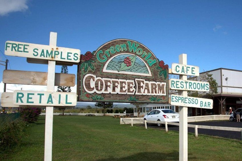 COFFEE FARM 2