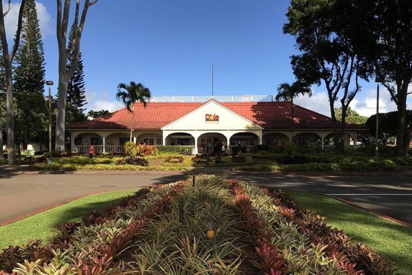DOLE PLANTATION 2