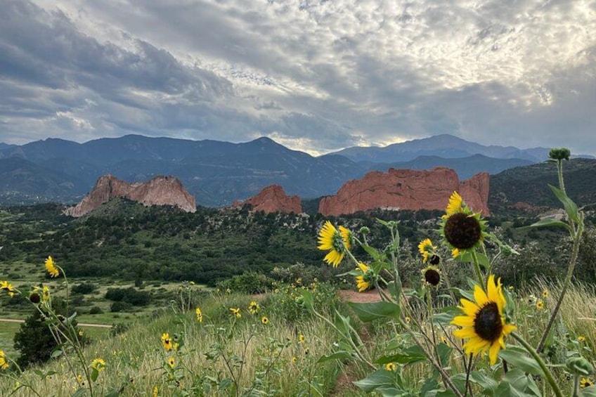 Sightseeing Jeep Tour in Garden of the Gods 5