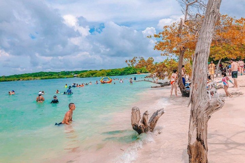 A beach with people swimming and sunbathing, a boat in the water, and a tree trunk on the sand. 3