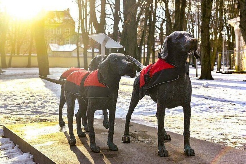 Two black dogs wearing red and orange jackets on a paved path in a park with trees and a building in the background. 2