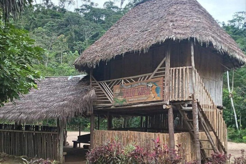 Puyo Amazon Full Day Tour | Ecuador Jungle Adventure 3