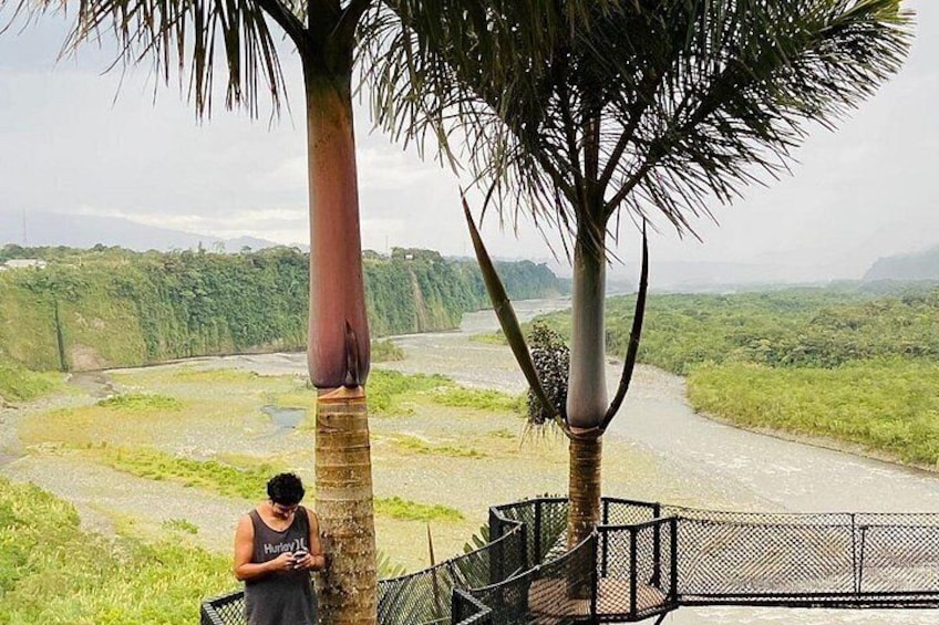 Puyo Amazon Full Day Tour | Ecuador Jungle Adventure 2