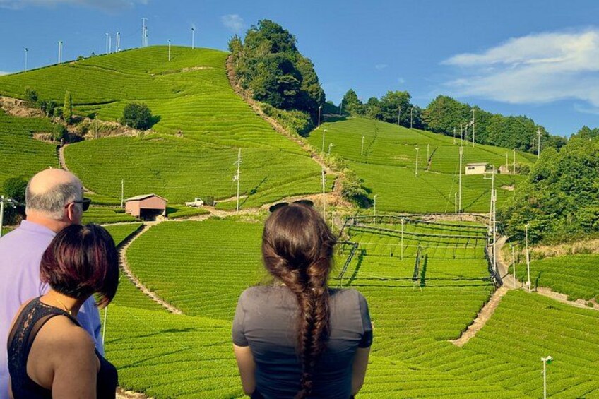Un groupe de personnes observe un paysage agricole verdoyant, caractérisé par des champs en terrasses et des éoliennes. 3
