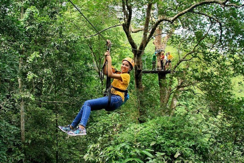 En person som åker zipline genom en skog. 3