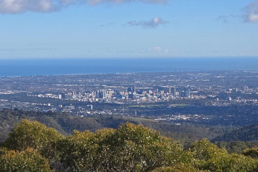A cityscape with a dense cluster of buildings, a distant coastline, and a foreground of green foliage. 3