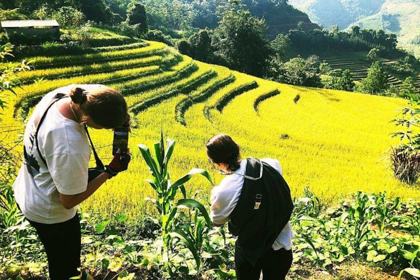 Ha Giang loop 3 or 4 Days, Small Group Tour (within easy riders) 3