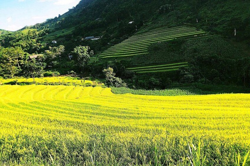 Ha Giang loop 3 or 4 Days, Small Group Tour (within easy riders) 4