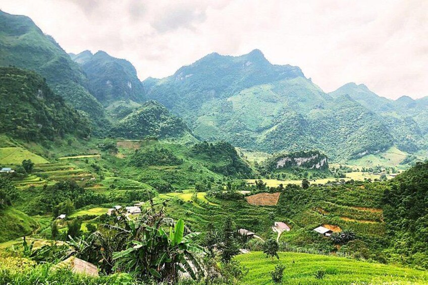 Ha Giang loop 3 or 4 Days, Small Group Tour (within easy riders) 5