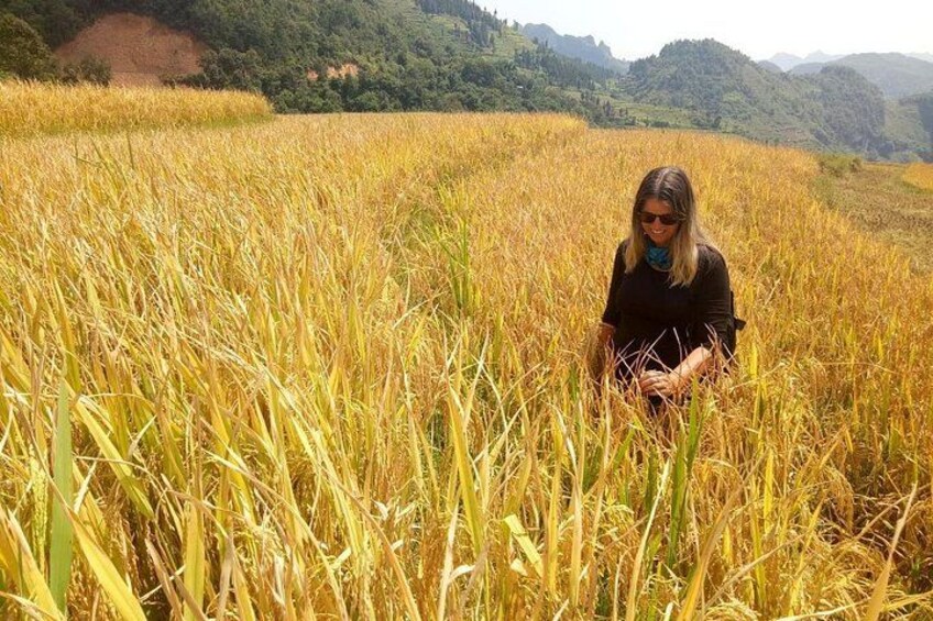 Ha Giang loop 3 or 4 Days, Small Group Tour (within easy riders) 2
