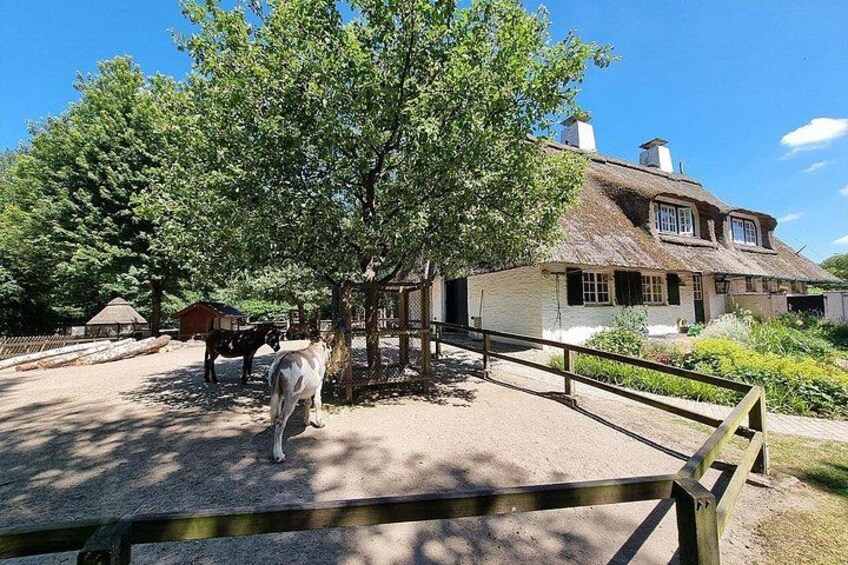 A thatched-roof house, a horse, and a fenced enclosure. 3