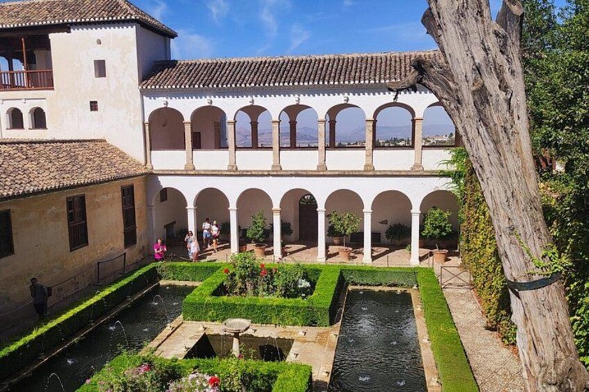 A courtyard with a water channel, a white building with arches, and a large tree. 5