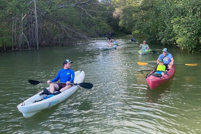 People kayaking on a calm river surrounded by dense trees. 5