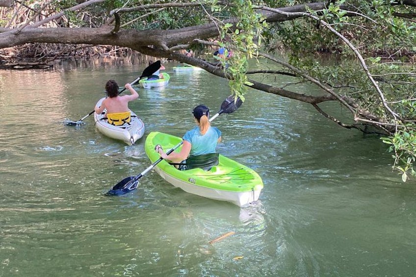 Two people kayaking on a calm river surrounded by trees. 4