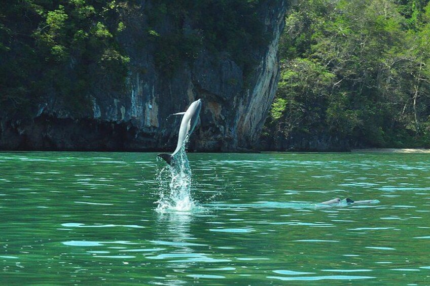 6 Hours Sharing Basis Kilim Mangrove Safari Boat Tour in Langkawi 1
