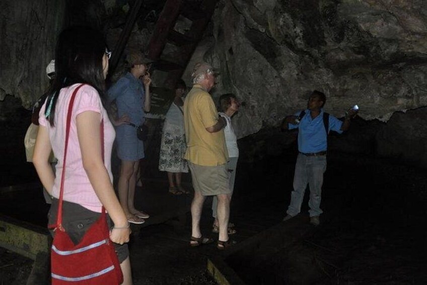 6 Hours Sharing Basis Kilim Mangrove Safari Boat Tour in Langkawi 2
