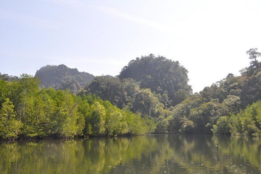 6 Hours Sharing Basis Kilim Mangrove Safari Boat Tour in Langkawi 2