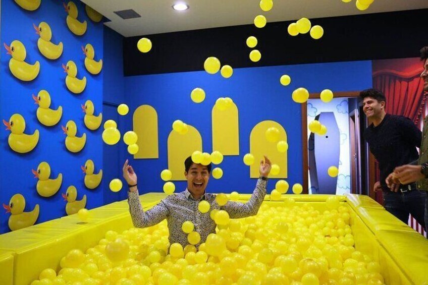 Ball Pool Area Users