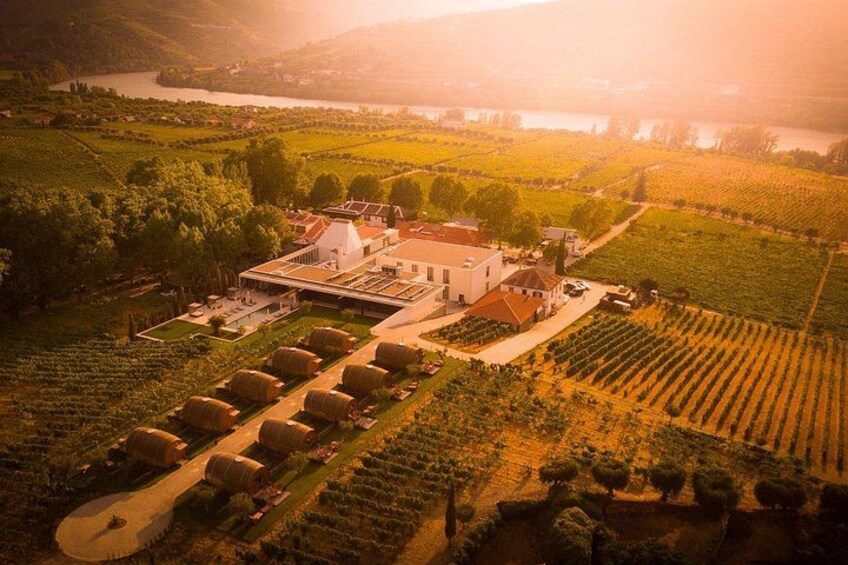 The Quinta da Pacheca 3