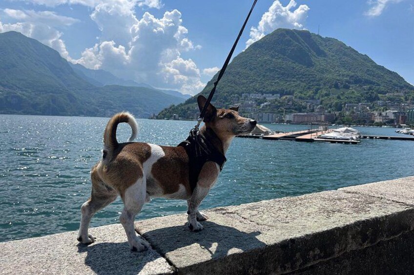 From Milan: Lugano, Bellagio & Como exclusive Boat Tour 3