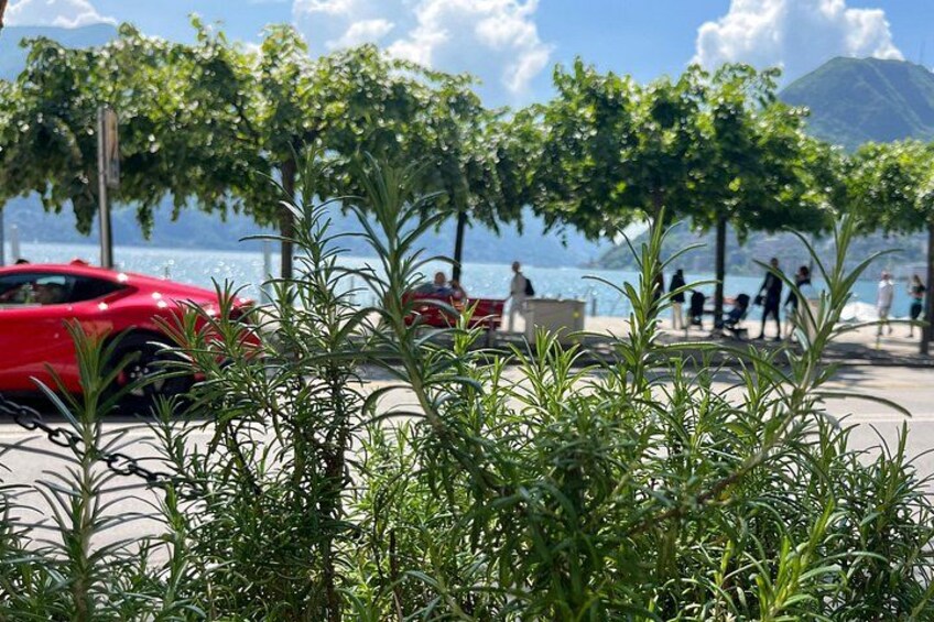 From Milan: Lugano, Bellagio & Como exclusive Boat Tour 3