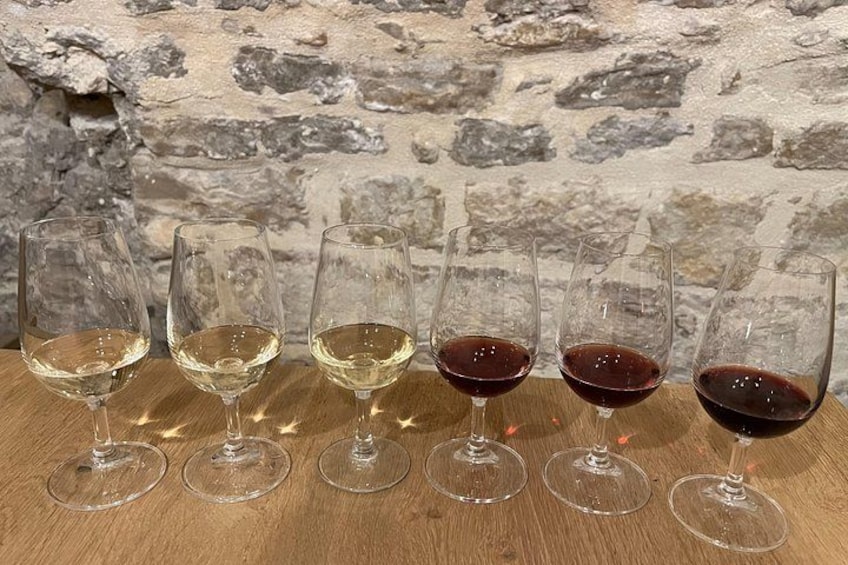 Wine tasting in Dijon 3