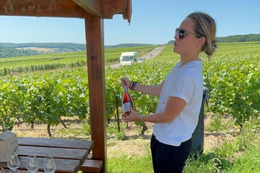 A person holding a bottle of wine in a vineyard. 5