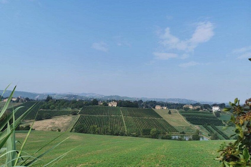3 Hour E-bike Tour with Parmesan and Balsamic Vinegar 3