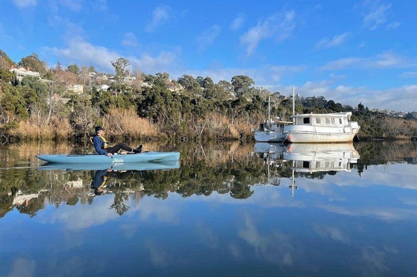 Guided Kayak Tour on Launceston's scenic waterfront on foot powered Hobie kayaks 1