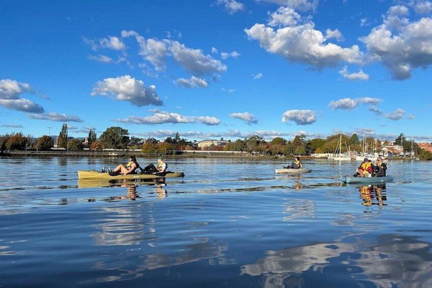 Guided Kayak Tour on Launceston's scenic waterfront on foot powered Hobie kayaks 5