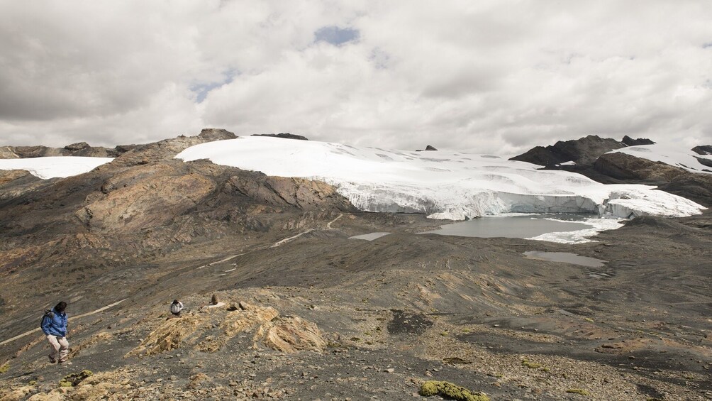 Glacier Pastoruri and Puya Raimondi Full Day Tour