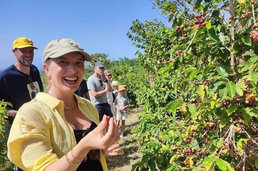 visit coffee plantation 2