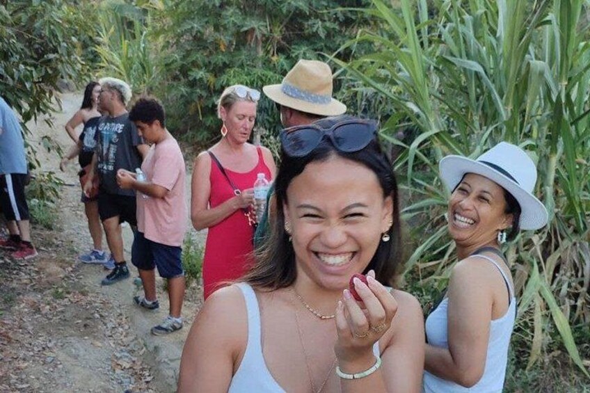visit coffee farm 2