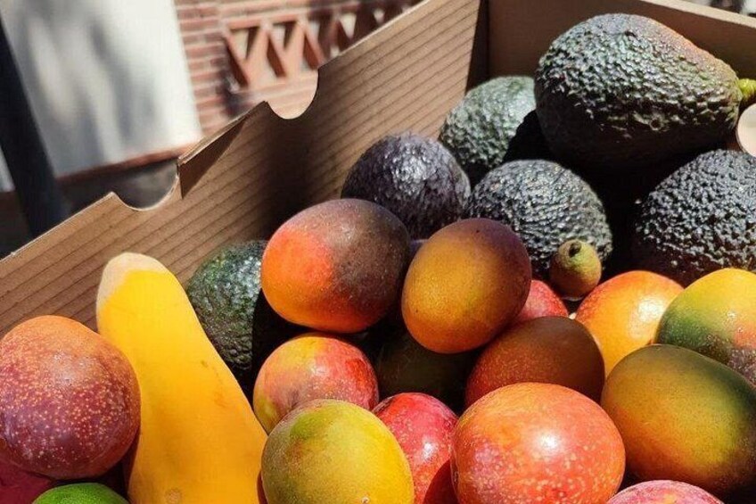Farmer's Market Malaga 4