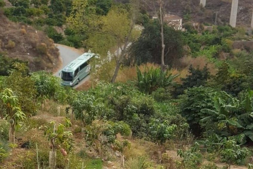 Paved access, accessible to 12-meter buses 5