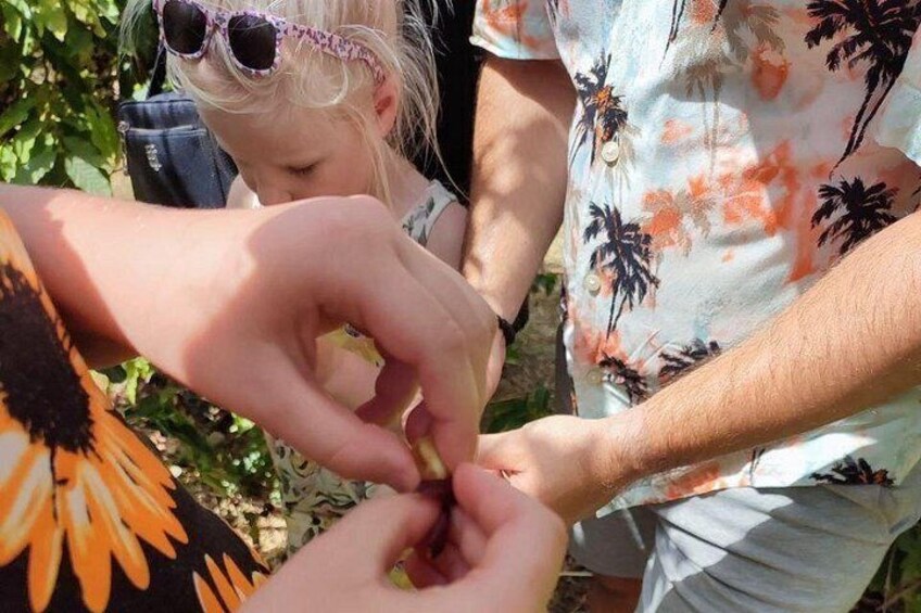 Kid friendly activities 2