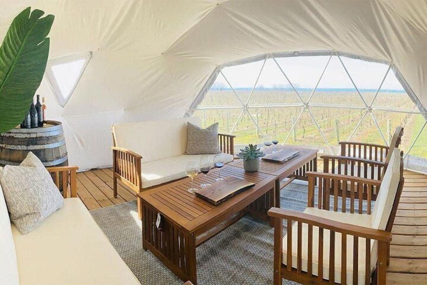 1 Hour Private Vineyard Dome Experience in Niagara-on-the-Lake 2