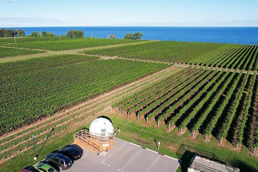 1 Hour Private Vineyard Dome Experience in Niagara-on-the-Lake 3