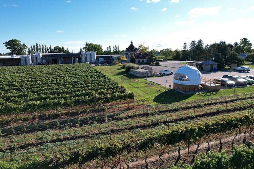 1 Hour Private Vineyard Dome Experience in Niagara-on-the-Lake 3