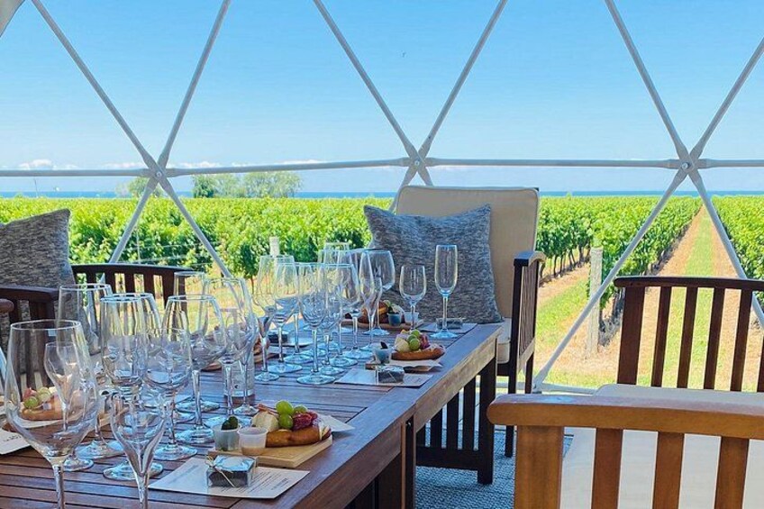 1 Hour Private Vineyard Dome Experience in Niagara-on-the-Lake 2