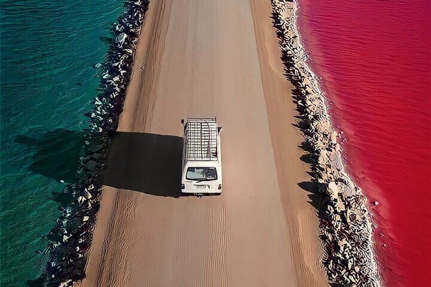 Pinktastic Lagoon Adventure Las Coloradas y Rio Lagartos from Cancun 