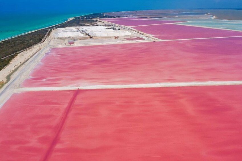A salt flat with pink and white areas, a coastline, and a clear blue sky. 3
