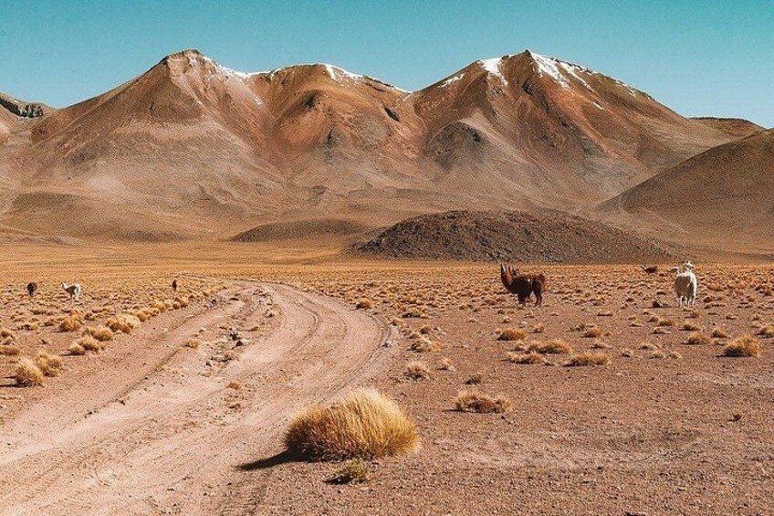 Private 3-day tour from La Paz to the Salar de Uyuni by plane 2